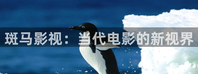 白云视频纯净版：斑马影视：当代电影的新视界
