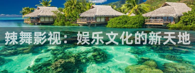 白云视频：辣舞影视：娱乐文化的新天地