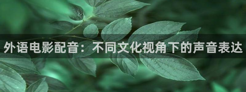 白云视频高清：外语电影配音：不同文化视角下的声音表达