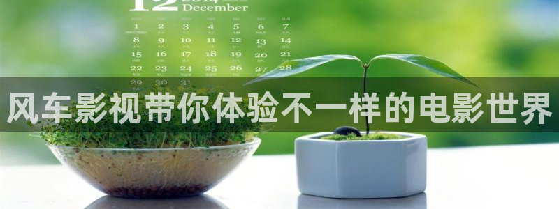 白云视频最新版本：风车影视带你体验不一样的电影世界