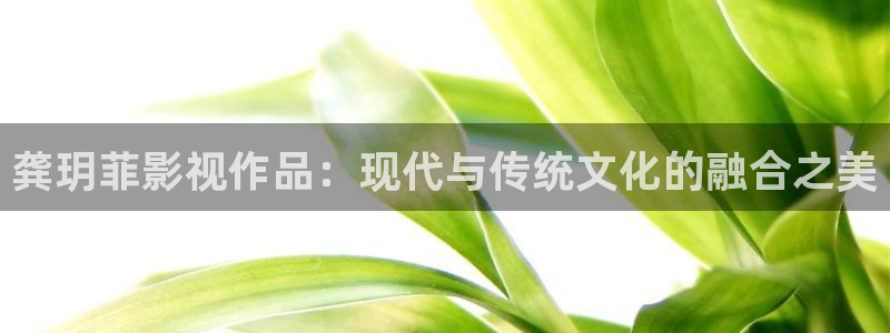 白云视频纯净版：龚玥菲影视作品：现代与传统文化的融合之美