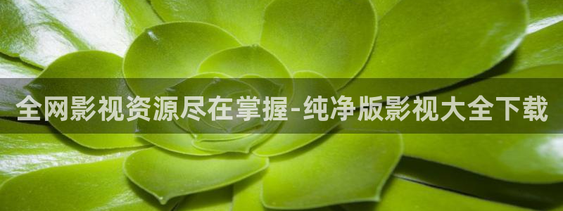 白云视频下载最新版本安装：全网影视资源尽在掌握-纯净版影视大全下载