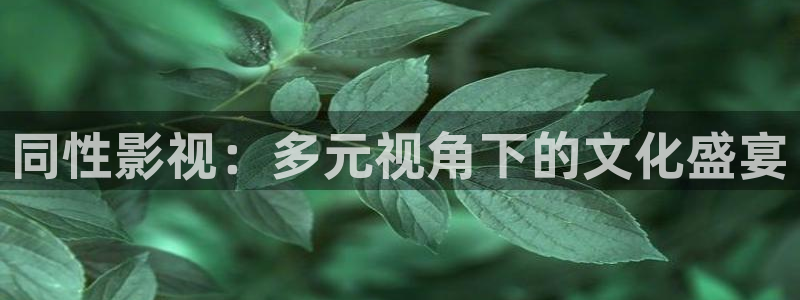 白云视频免费版：同性影视：多元视角下的文化盛宴