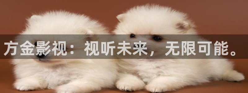 白云视频app下载官方：方金影视：视听未来，无限可能。